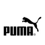 WhatsApp Image 2025-01-09 at 9.05.36 PM